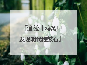 追·迹｜鸡窝里发现明代抱鼓石