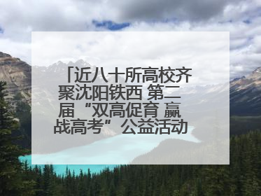 近八十所高校齐聚沈阳铁西 第二届“双高促育 赢战高考”公益活动即将启幕