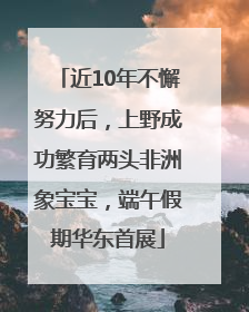 近10年不懈努力后，上野成功繁育两头非洲象宝宝，端午假期华东首展