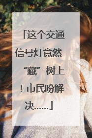 这个交通信号灯竟然“藏”树上！市民盼解决……