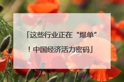 这些行业正在“爆单”！中国经济活力密码