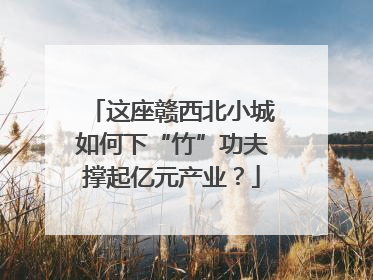 这座赣西北小城如何下“竹”功夫撑起亿元产业？