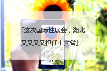 这次国际性展会，湖北又又又又担任主宾省