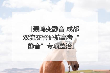 轰鸣变静音 成都双流交警护航高考“静音”专项整治