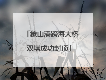 象山港跨海大桥双塔成功封顶