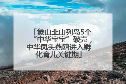 象山韭山列岛5个“中华宝宝”破壳，中华凤头燕鸥进入孵化育儿关键期