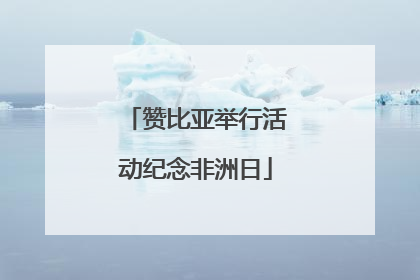 赞比亚举行活动纪念非洲日