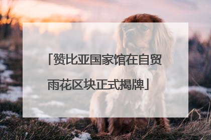 赞比亚国家馆在自贸雨花区块正式揭牌