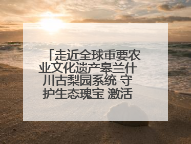 走近全球重要农业文化遗产皋兰什川古梨园系统 守护生态瑰宝 激活发展动能