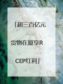 超三百亿元货物在厦享RCEP红利