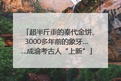超半斤重的秦代金饼、3000多年前的象牙……成渝考古人“上新”