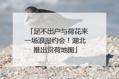 足不出户与荷花来一场浪漫约会！湖北推出赏荷地图