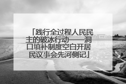 践行全过程人民民主的破冰行动——洞口填补制度空白开居民议事会先河侧记