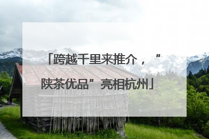 跨越千里来推介，“陕茶优品”亮相杭州