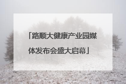 路顺大健康产业园媒体发布会盛大启幕