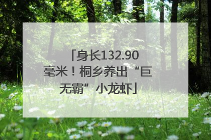 身长132.90毫米！桐乡养出“巨无霸”小龙虾