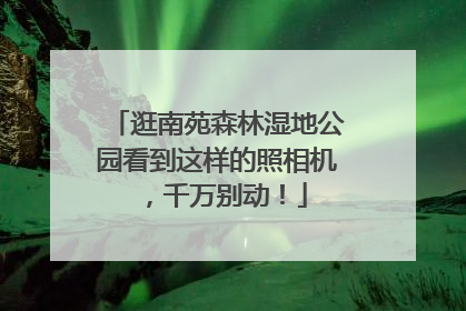 逛南苑森林湿地公园看到这样的照相机，千万别动！