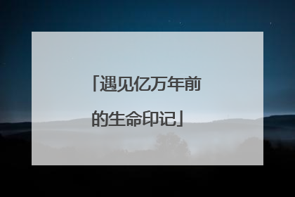 遇见亿万年前的生命印记