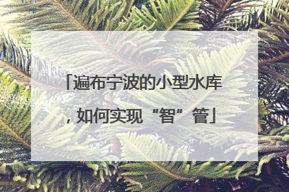 遍布宁波的小型水库，如何实现“智”管