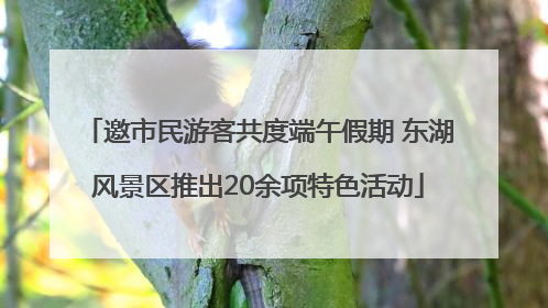 邀市民游客共度端午假期 东湖风景区推出20余项特色活动