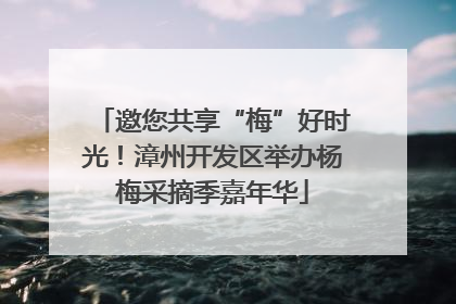 邀您共享“梅”好时光！漳州开发区举办杨梅采摘季嘉年华