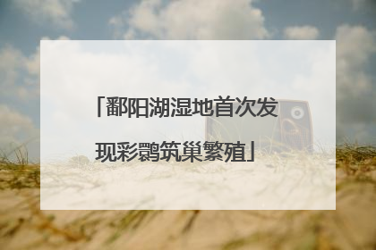 鄱阳湖湿地首次发现彩鹮筑巢繁殖