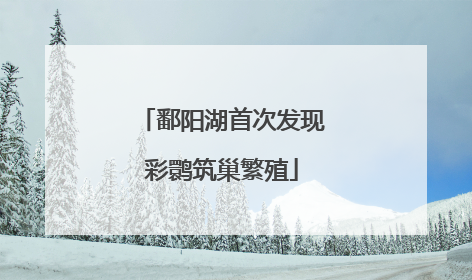 鄱阳湖首次发现彩鹮筑巢繁殖