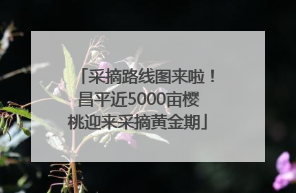 采摘路线图来啦！昌平近5000亩樱桃迎来采摘黄金期