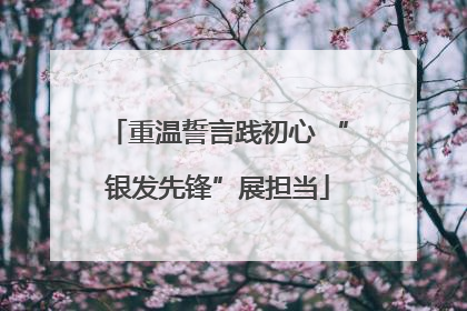 重温誓言践初心 “银发先锋”展担当
