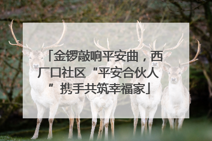 金锣敲响平安曲，西厂口社区“平安合伙人”携手共筑幸福家