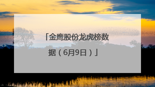 金鹰股份龙虎榜数据（6月9日）