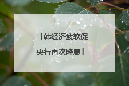 韩经济疲软促央行再次降息