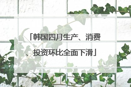 韩国四月生产、消费、投资环比全面下滑