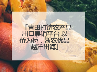 青田打造农产品出口展销平台 以侨为桥，浙农优品越洋出海