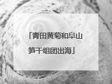 青田黄菊和阜山笋干组团出海