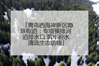 青岛西海岸新区隐珠街道：专项摸排河道排水口 筑牢碧水清流生态防线