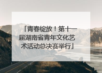 青春绽放！第十一届湖南省青年文化艺术活动总决赛举行