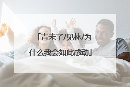 青未了/见林/为什么我会如此感动