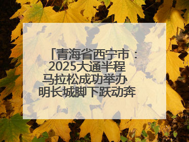 青海省西宁市：2025大通半程马拉松成功举办 明长城脚下跃动奔跑音符