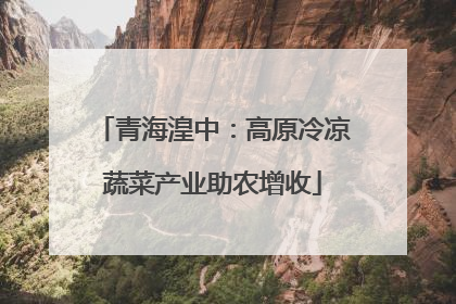 青海湟中：高原冷凉蔬菜产业助农增收