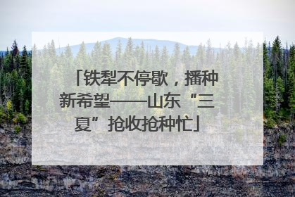 铁犁不停歇，播种新希望——山东“三夏”抢收抢种忙