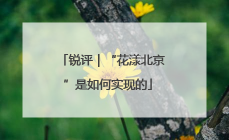 锐评｜“花漾北京”是如何实现的