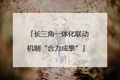 长三角一体化联动机制“合力成拳”