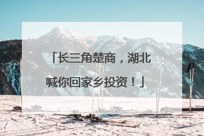 长三角楚商，湖北喊你回家乡投资！