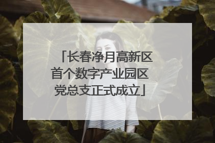 长春净月高新区首个数字产业园区党总支正式成立