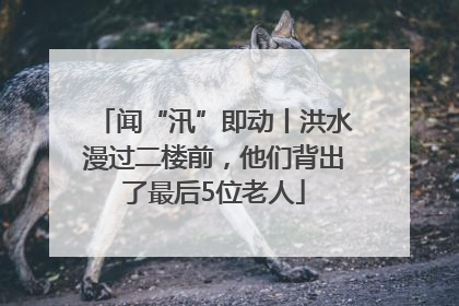 闻“汛”即动丨洪水漫过二楼前，他们背出了最后5位老人