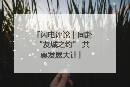 闪电评论｜同赴“友城之约” 共襄发展大计
