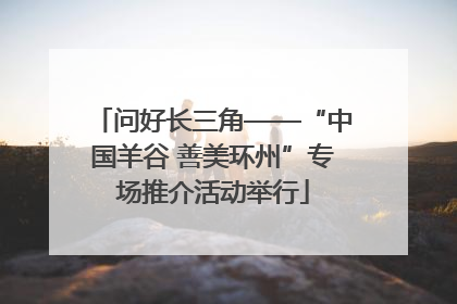 问好长三角——“中国羊谷 善美环州”专场推介活动举行