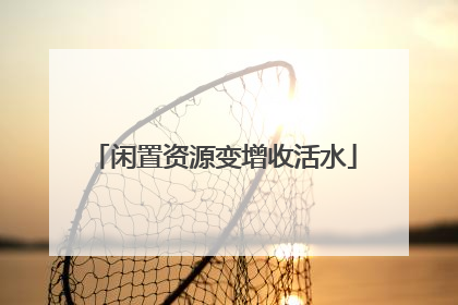 闲置资源变增收活水