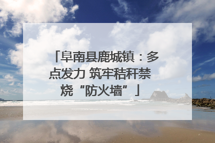 阜南县鹿城镇：多点发力 筑牢秸秆禁烧“防火墙”